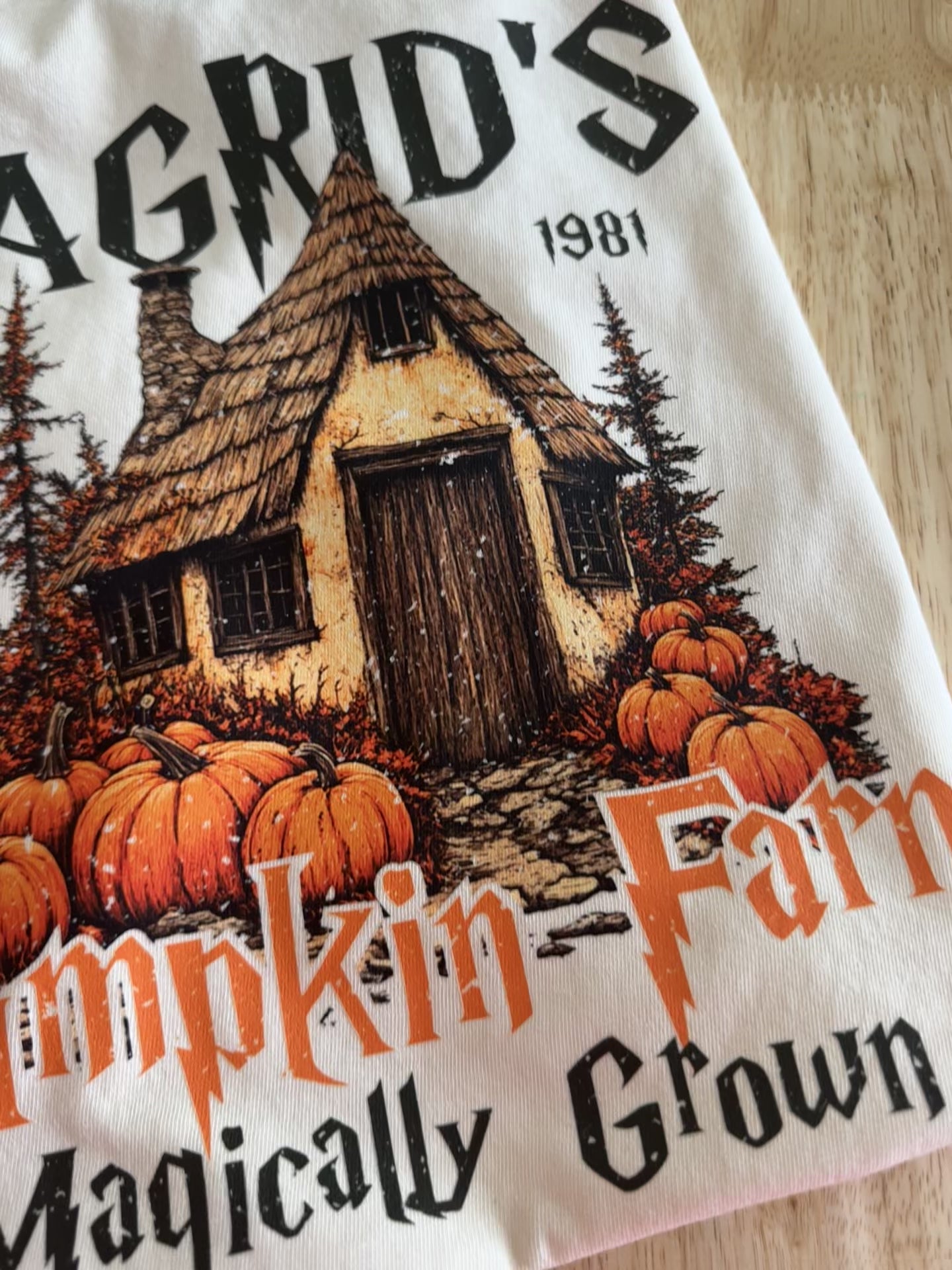 Hagrid's Fall T-Shirt